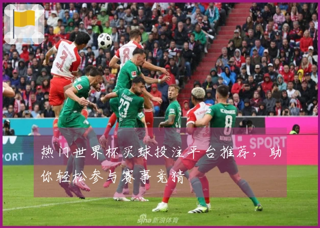 热门世界杯买球投注平台推荐，助你轻松参与赛事竞猜