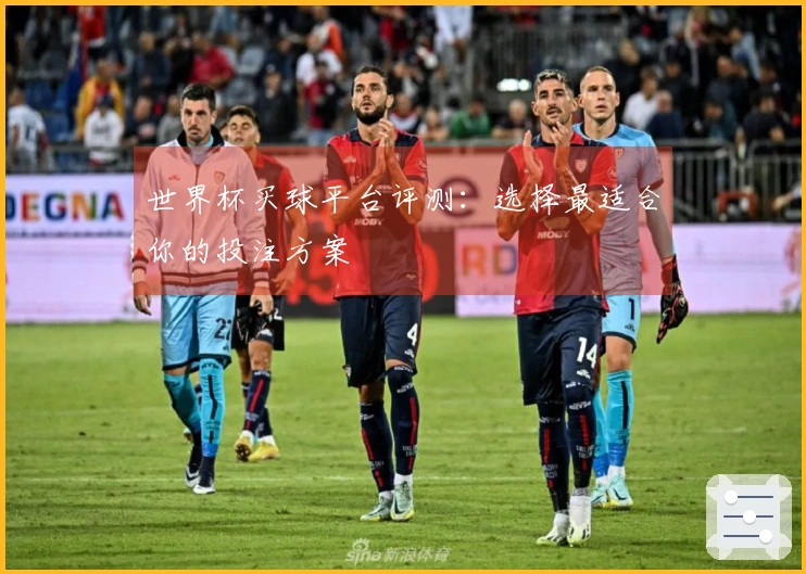 世界杯买球平台评测：选择最适合你的投注方案