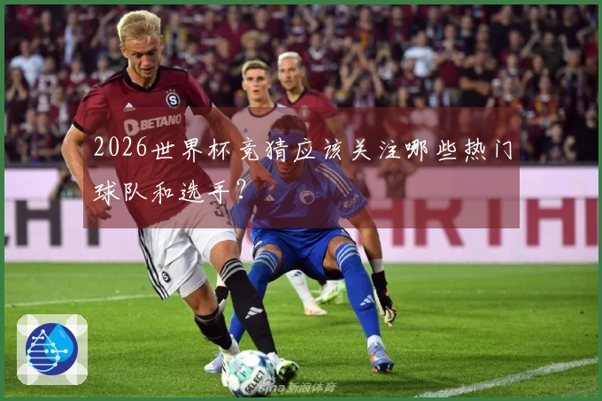 2026世界杯竞猜应该关注哪些热门球队和选手？