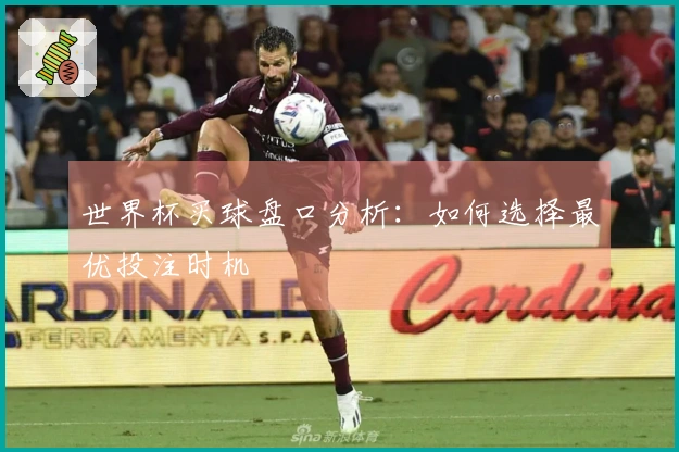 世界杯买球盘口分析：如何选择最优投注时机