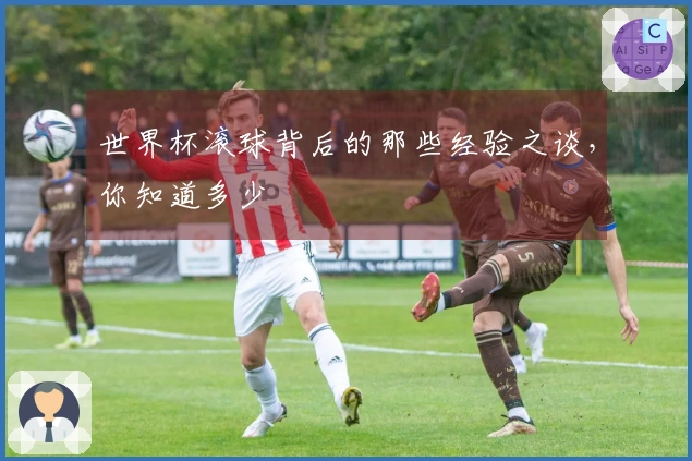 世界杯滚球背后的那些经验之谈,你知道多少