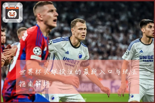 世界杯买球投注的最新入口与玩法指南解析