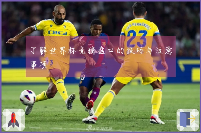 了解世界杯竞猜盘口的技巧与注意事项