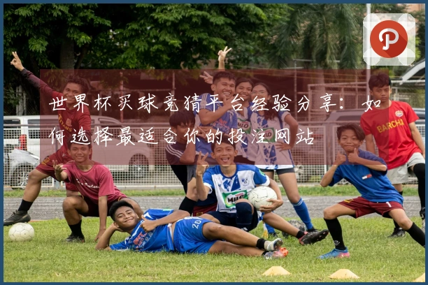 世界杯买球竞猜平台经验分享：如何选择最适合你的投注网站