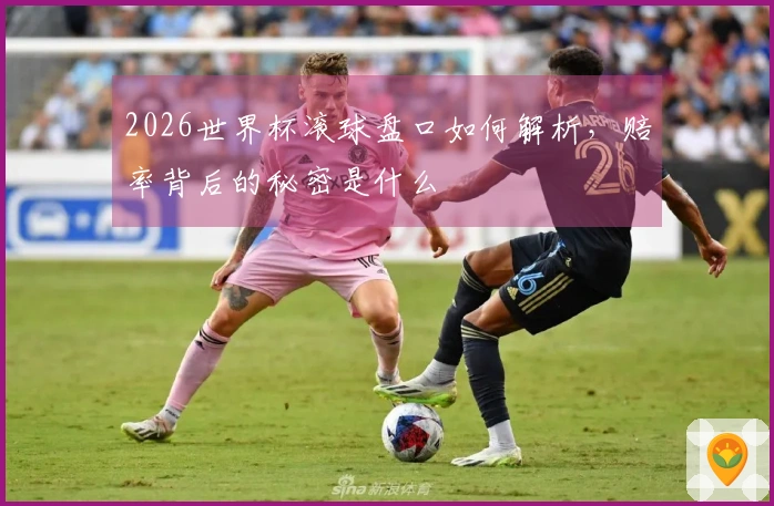 2026世界杯滚球盘口如何解析，赔率背后的秘密是什么