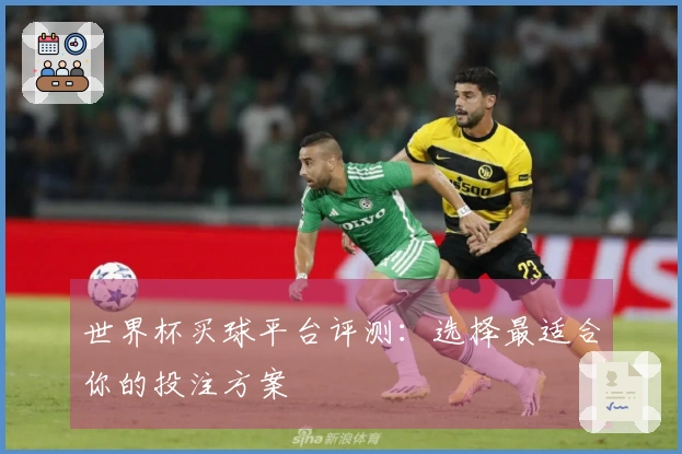 世界杯买球平台评测：选择最适合你的投注方案