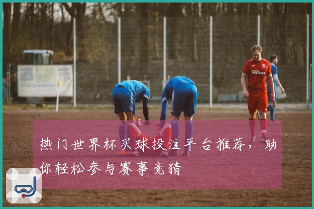 热门世界杯买球投注平台推荐，助你轻松参与赛事竞猜